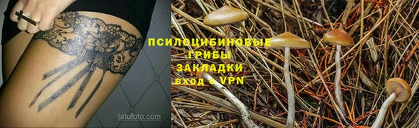 мет Бородино